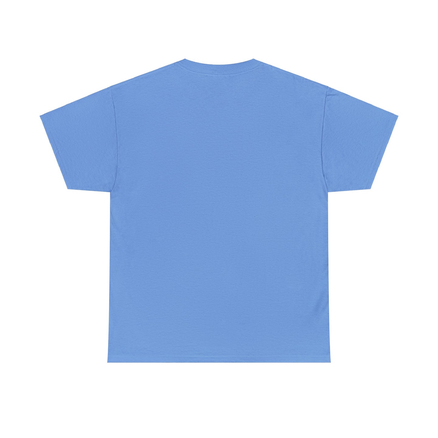 DUSTY BLUE STAR GIRL shirt