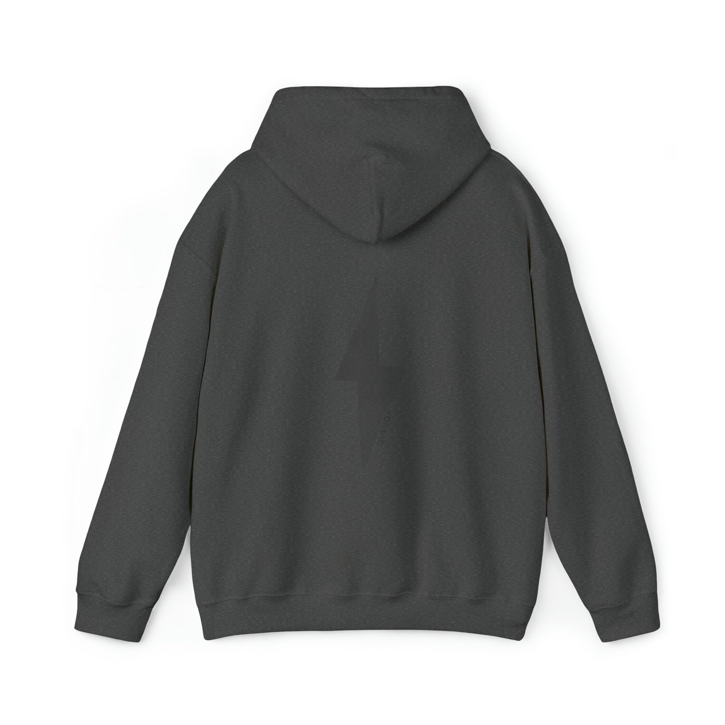 GREY LIGHTNING hoodie